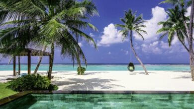 Hotels with Kids’ Clubs and Family Entertainment