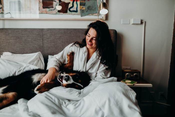 Best Pet-Friendly Luxury Hotels Around the World
