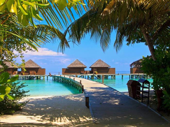 Best Eco-Friendly Hotels for Sustainable Travelers