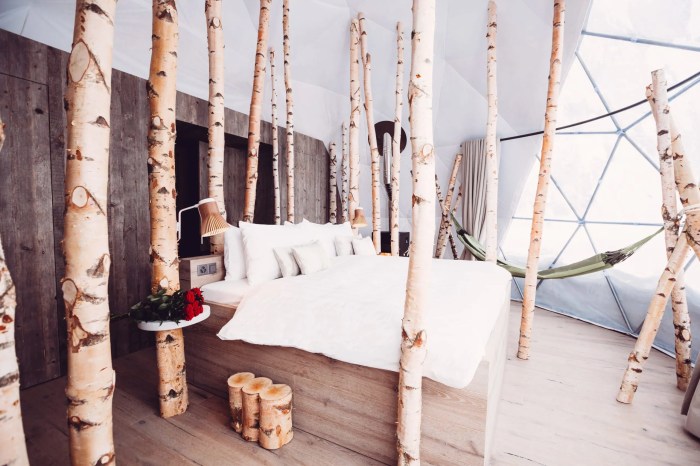 Best Eco-Friendly Hotels for Sustainable Travelers